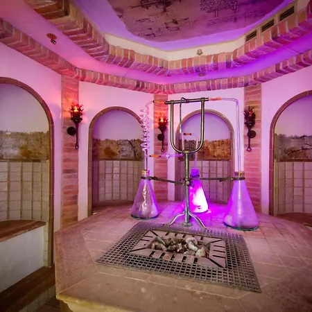 酒店 里尔比斯敖特夫健康酒店 哈尔登熙